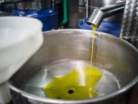 Migliorare la Qualità dell'Olio da Frittura