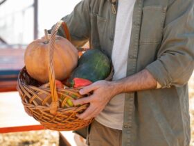 Prodotti Artigianali dell'Azienda Agricola