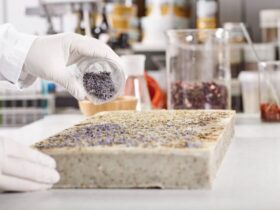 Produzione di Additivi Alimentari Naturali