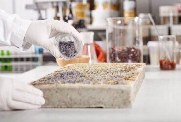 Produzione di Alimenti Fermentati
