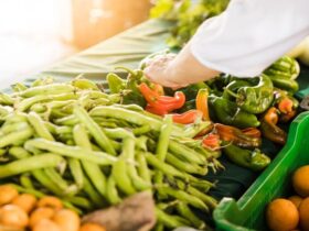 Produzione di Alimenti a Base Vegetale