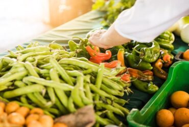 Produzione di Alimenti a Base Vegetale