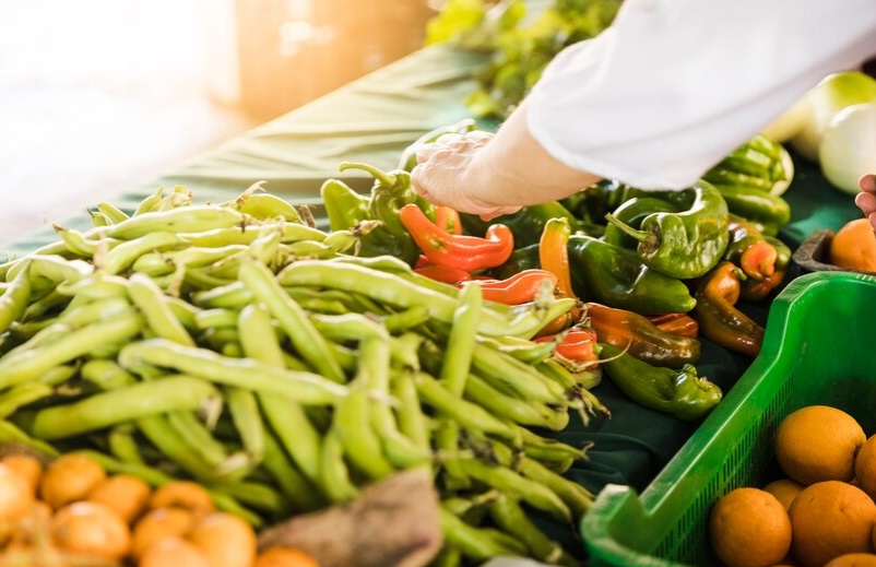 Produzione di Alimenti a Base Vegetale