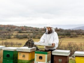 Salvare le Api Salvare l'Agricoltura