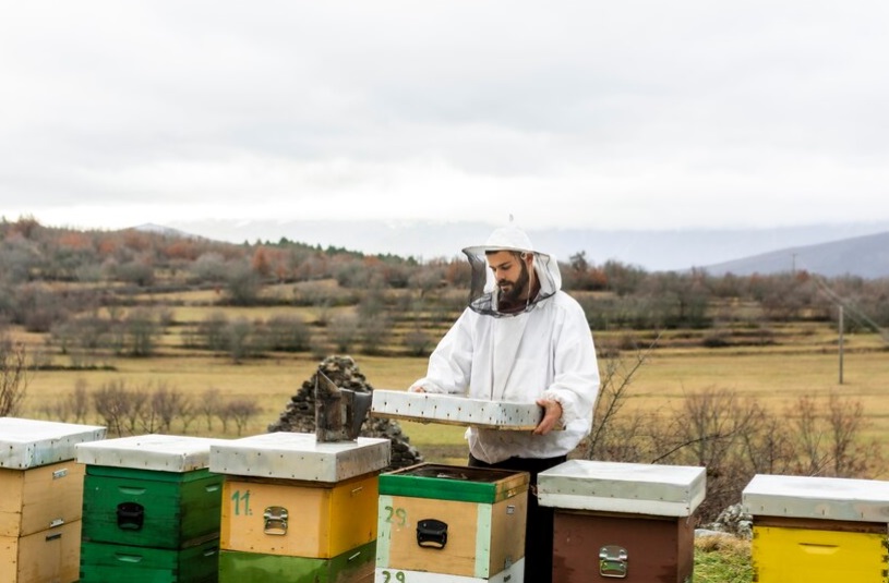 Salvare le Api Salvare l'Agricoltura