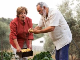 Sapienza Agricola dei Nostri Nonni