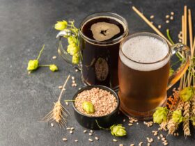 Scopri il mondo delle birre senza glutine