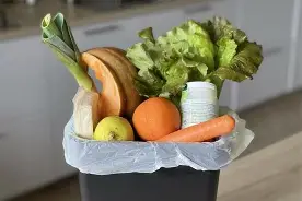 Spreco Alimentare: Impatti e Strategie per Ridurlo