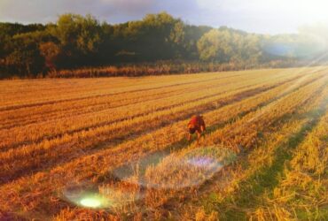 Stagioni Agricole