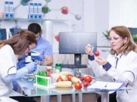 Sviluppo di sistemi di tracciabilità per garantire la provenienza degli alimenti