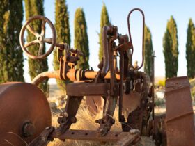Tecniche di Coltivazione Antiche: Lezioni per l'Agricoltura Moderna