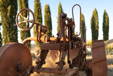 Tecniche di Coltivazione Antiche: Lezioni per l'Agricoltura Moderna