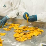 Tecniche di Produzione di Alimenti Ipocalorici