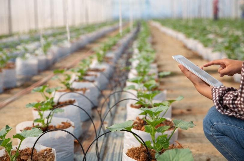 Innovazioni in Agricoltura