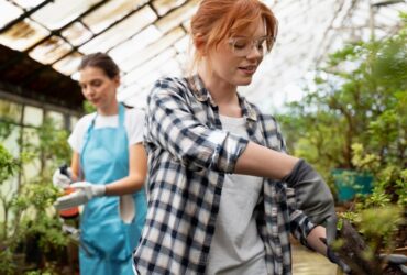 Unire le Forze per l'Agricoltura Urbana