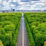 Urban Farming: Soluzioni Innovative per Città Più Verdi