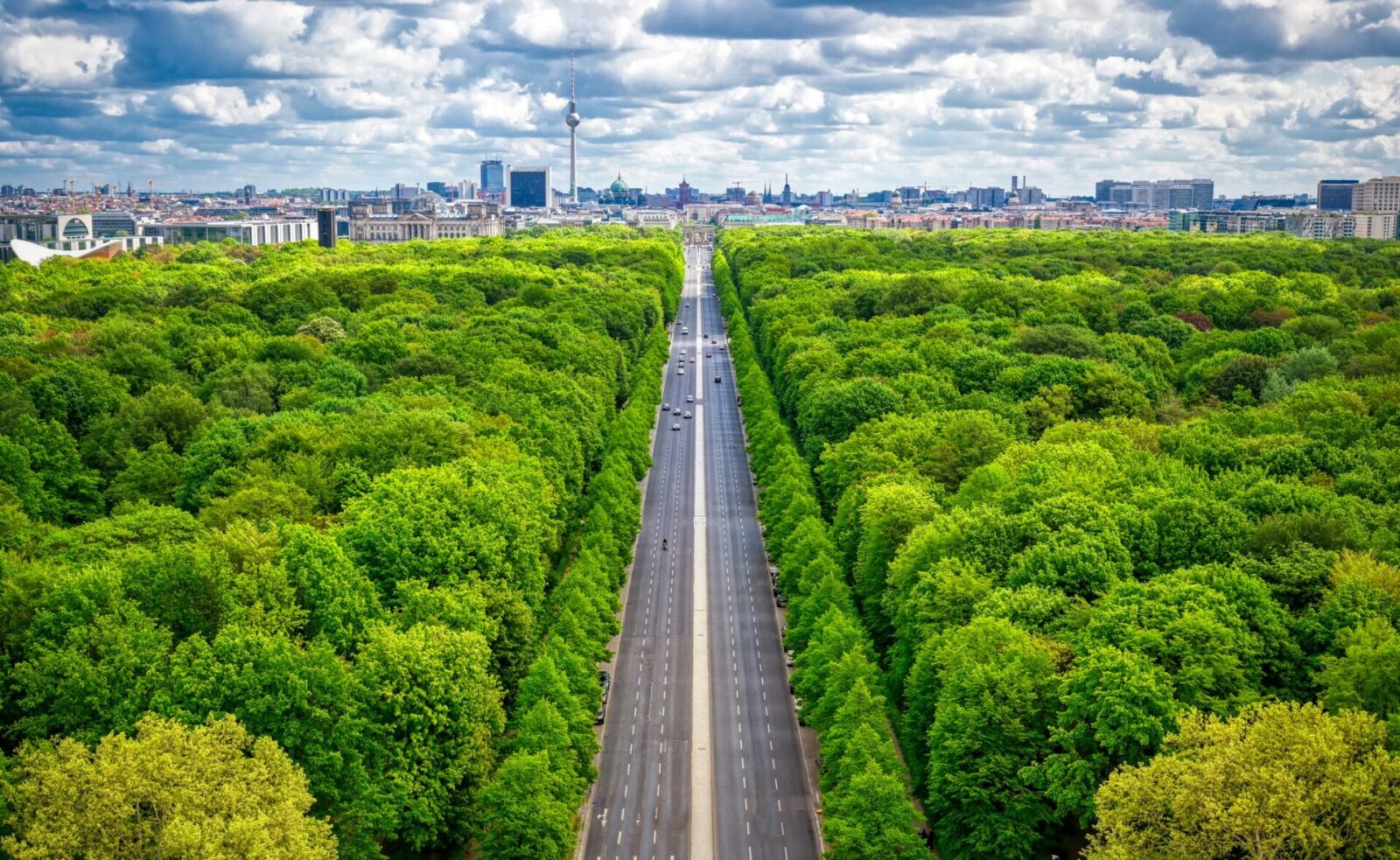 Urban Farming: Soluzioni Innovative per Città Più Verdi