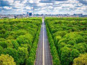 Urban Farming: Soluzioni Innovative per Città Più Verdi