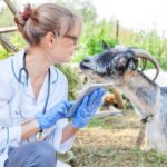 Valutazione del Benessere Animale