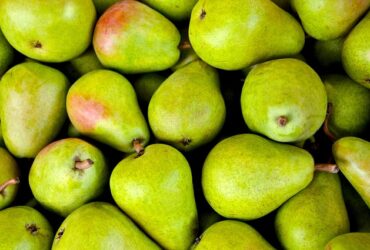 Il Potenziale del Mercato Globale per i Prodotti Agricoli Sostenibili
