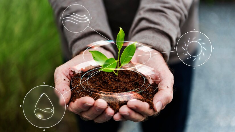 Come l'Agricoltura Sostenibile Può Contribuire alla Lotta contro la Povertà