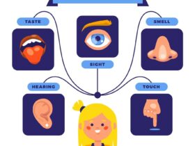 Analisi Sensoriale: Metodi per Valutare Qualità e Preferenze del Cibo