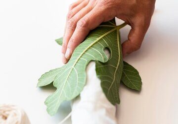 Impatto della Moda Sostenibile su Agricoltura Biologica