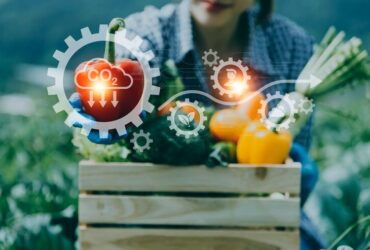 Valutazione del Ciclo di Vita: Strumento per una Produzione Alimentare Sostenibile