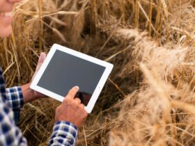 Il Ruolo dei Dati Big e dell'Analisi Predittiva nell'Agricoltura di Precisione