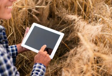 Il Ruolo dei Dati Big e dell'Analisi Predittiva nell'Agricoltura di Precisione