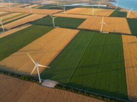 Integrazione di Energia Eolica nelle Pratiche Agricole