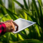 Tecnologie IoT in Agricoltura: Come Migliorano l'Efficienza