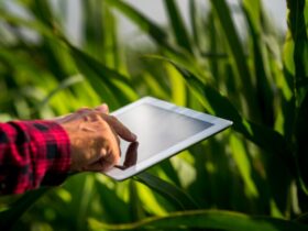 Tecnologie IoT in Agricoltura: Come Migliorano l'Efficienza