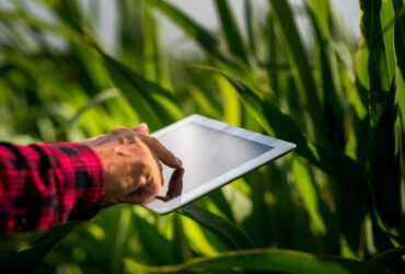 Tecnologie IoT in Agricoltura: Come Migliorano l'Efficienza