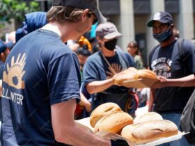 La rivoluzione del pane artigianale a New York: lievito, passione e comunità