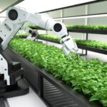 Il Ruolo della Robotica in Agricoltura di Precisione