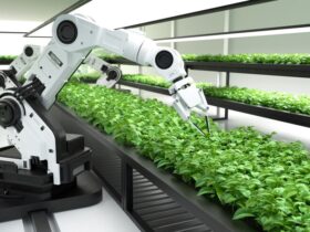 Il Ruolo della Robotica in Agricoltura di Precisione