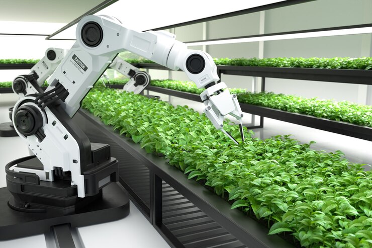 Il Ruolo della Robotica in Agricoltura di Precisione