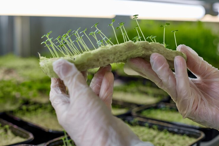 Sviluppo di Mercati Locali per Prodotti Agricoli Sostenibili