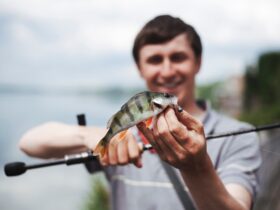 Proteggi il Futuro: Sostieni la Pesca Sostenibile