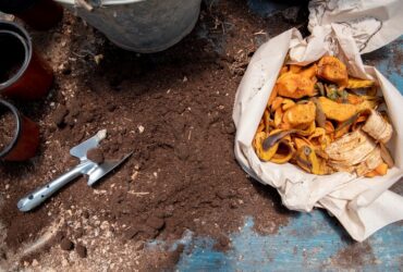 Dalla Terra alla Tavola: La Trasparenza che Meriti