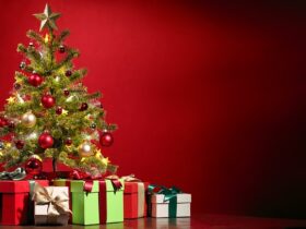 Formaggi pecorini per regali di Natale