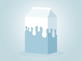 Pecorino a latte crudo