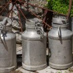 Comprare pecorino direttamente dal caseificio