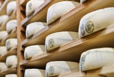 Produzione di formaggi pecorini con metodi biologici sostenibili