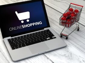 Comprare formaggi biologici online