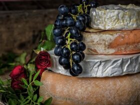 Formaggi pecorini per pranzi eleganti