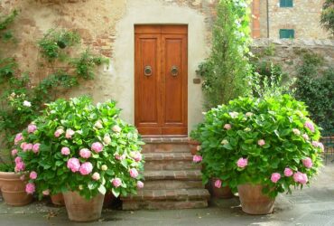 Pecorino di Pienza a lunga stagionatura