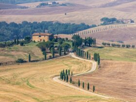 Vini biologici della Val d'Orcia