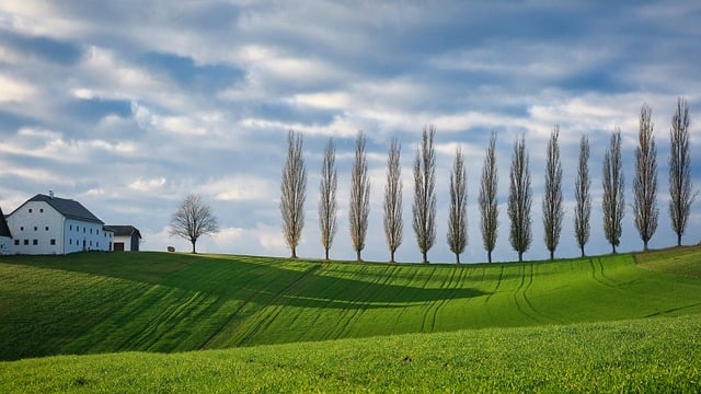 autunnale aromatico